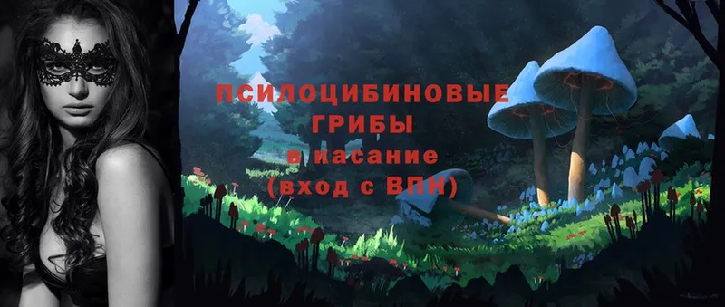 Где продают наркотики Тында Альфа ПВП  Кокаин  Амфетамин  MEGA ТОР  МЕФ  Гашиш  Галлюциногенные грибы 